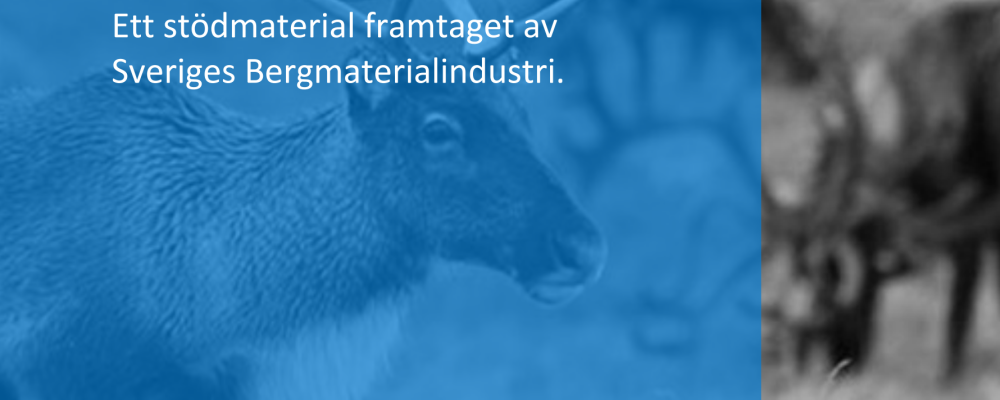 Bild: SBMI