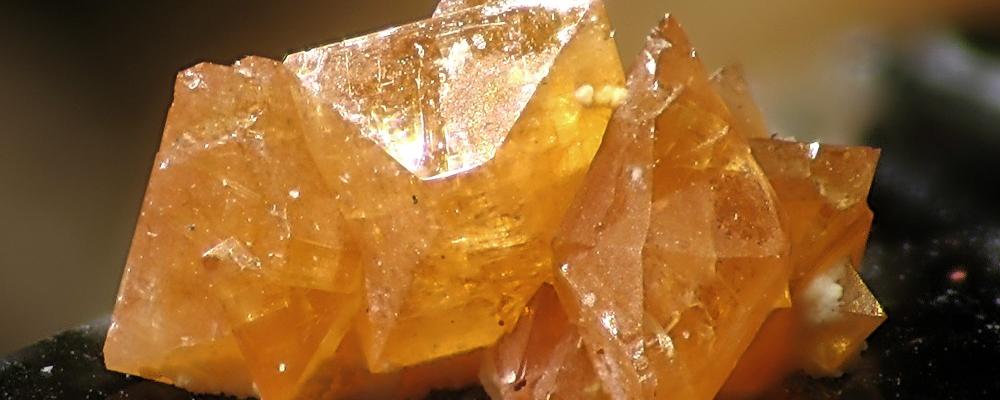 Foto: Christian Rewitzer/Wikimedia Commons