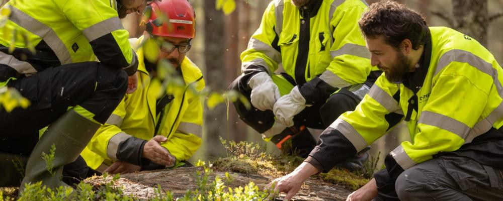 Endomines geologer i arbete. Det globala guldpriset har under de senaste åren stigit till historiskt höga nivåer. Med dagens prisnivå motsvarar de uppskattade resurserna i Pampalo och den omgivande guldlinjen ett värde på nästan 2,6 miljarder dollar, vilket motsvarar cirka 2,2 miljarder euro. Foto: Endomines