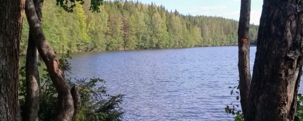 Terrafames gruvområde ligger söder om Kajana, mellan riksvägarna 5 och 6. Ansökan om att anlägga ett nytt dagbrott här vid sjöns strand har nu avslagits av myndigheten. Foto: Kuopio stad