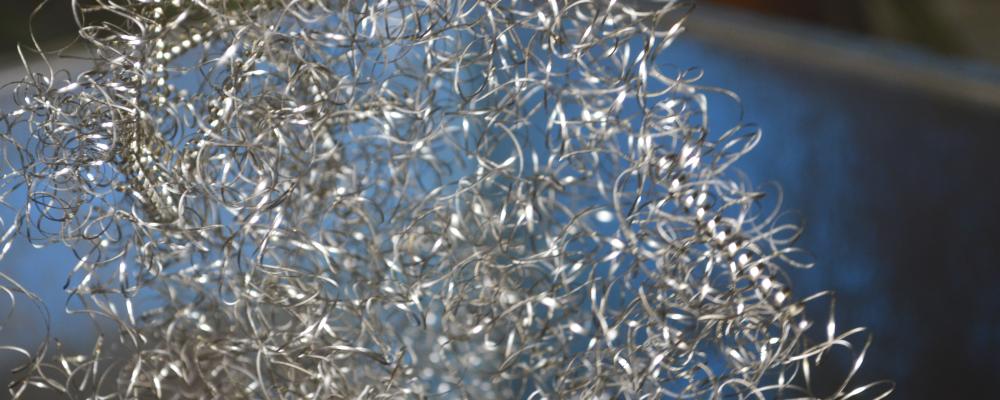 Det framhålls att ”bredden på forskning är mycket stor” med hela 46 nya forskningsprojekt.