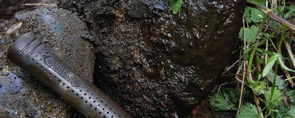 Alunskiffer. Foto: Wenkbrauwalbatros/Wikimedia Commons