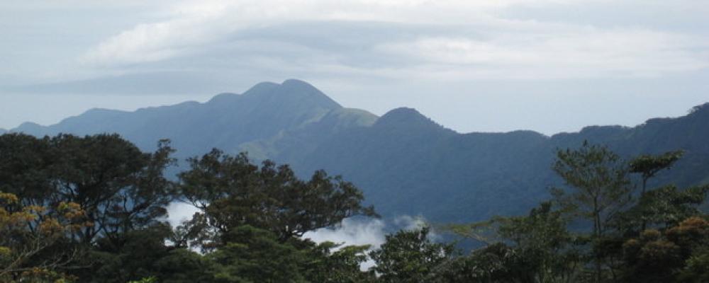 Nimba-massivet ligger i gränstrakterna mellan Guinea, Liberia och Elfenbenskusten. Foto: Yakoo1986/Wikimedia Commons