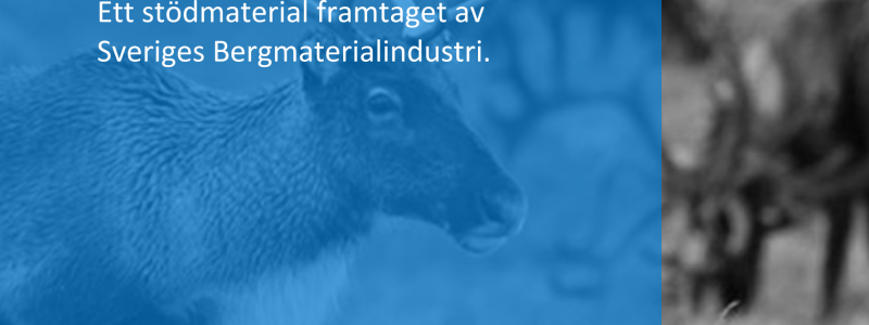 Bild: SBMI