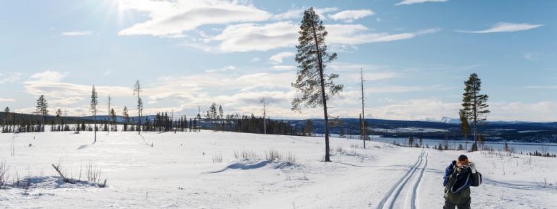 Paul Wennerholm/TT: Metaller eller renar? Nu kommer beskedet om processen får gå vidare. Aktivisten Tor Tourda i området där gruvan ska ligga, om den får tillstånd. Arkivbild.