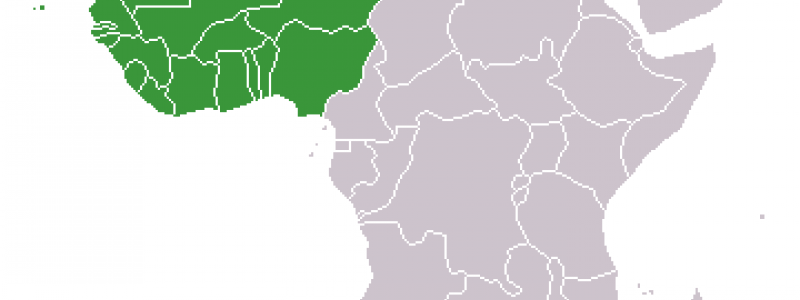 Foto: Anna Uciechowska/Wikimedia Commons