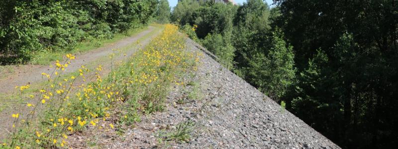 Foto: Grängesberg Exploration