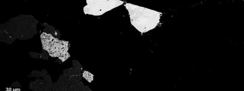 Åsgruvanit-(Ce) – ett nyupptäckt mineral som är rikt på sällsynta jordartsmetaller, här som ett vitflammigt fjärilsliknande kristallaggregat i en bild tagen med svepelektronmikroskop. Fyndplatsen är Åsgruvan vid Norberg i Bergslagen. Foto: Erik Jonsson, SGU.