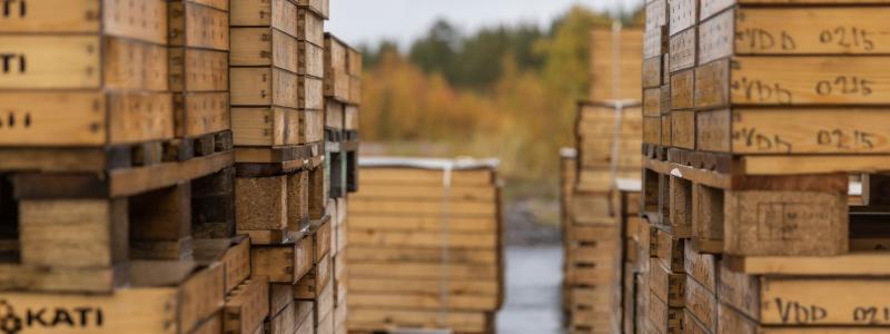 Borrkärnor i förvaring. Foto: Viscaria