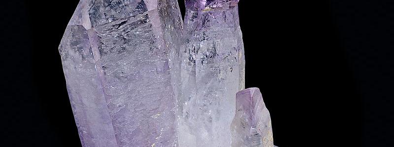 Foto: Didier Descouens/Wikimedia Commons