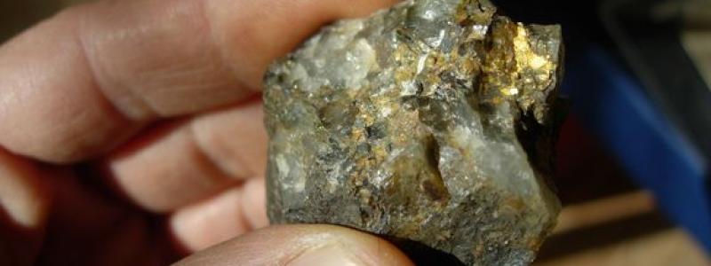 Guld på kvarts från Småland. Foto: Erik Jonsson/SGU