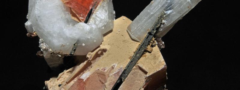 Foto: Géry Parent/Wikimedia Commons