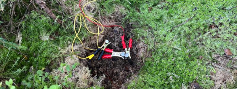 Anslutna stålelektroder. Foto: Julia Fridlund/SGU