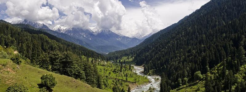Kashmir. Foto: KennyOMG/Wikimedia Commons