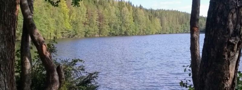 Terrafames gruvområde ligger söder om Kajana, mellan riksvägarna 5 och 6. Ansökan om att anlägga ett nytt dagbrott här vid sjöns strand har nu avslagits av myndigheten. Foto: Kuopio stad