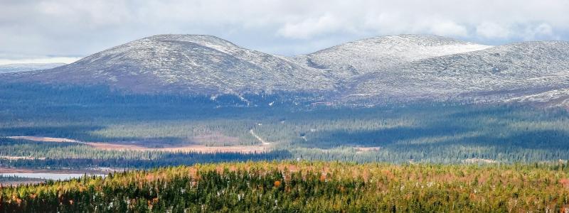 Prospektering efter guld i finska Lappland ökar. Fyndigheten Ikkari upptäcktes 2020 och utreds nu inför en möjlig gruvetablering. Symbolbild fån området: Pixabay, kredit: LtapsaH