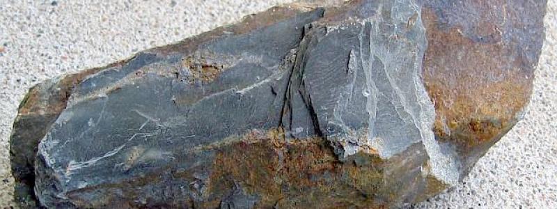 Svartskiffer. Foto: Geologia.fi