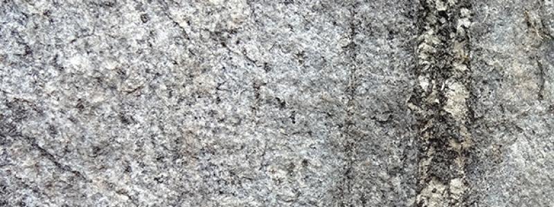 Exempel på mineraliserad gång med sällsynta jordartsmetaller (REE-fosfatmineralen xenotim och monazit ) i Olserum. Foto: Stefan Andersson/SGU