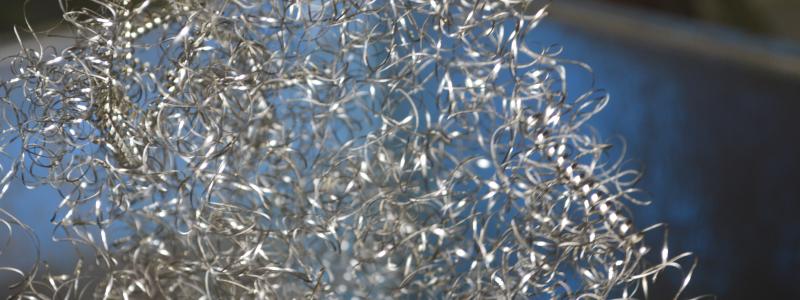 Det framhålls att ”bredden på forskning är mycket stor” med hela 46 nya forskningsprojekt.