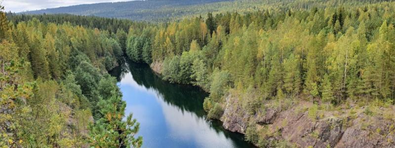Höga halter av kritiska råvaror som sällsynta jordartsmetaller, fosfor och volfram har hittats i gammalt gruvavfall i Bergslagen. Foto: Patrick Casey/SGU
