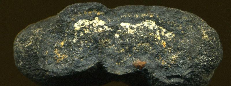 Polymetallisk nodul av mangan på havsbotten. Foto:  James St. John/https://www.flickr.com/photos/jsjgeology/Wikimedia Commons