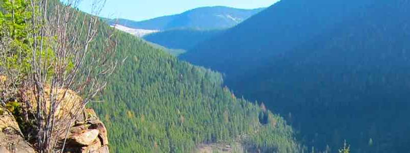 photo by grizzly discoveries