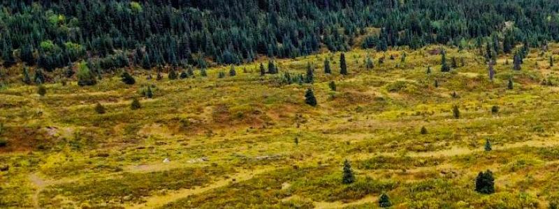 photo_by_torr_metals