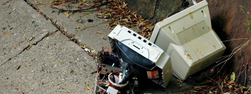 Foto: Rich Anderson/Wikimedia Commons