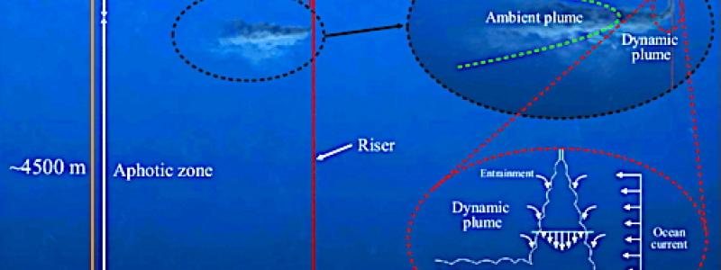 Schematisk bild av en gruvoperation för polymetalliska noduler. Från topp till botten visar de tre inzoomade panelerna ytfartyget, sedimentplymen i vattenmassan samt nodulinsamlaren som arbetar på havsbotten. Plymen i vattenmassan består av två steg:
(i) den dynamiska plymen, där sedimentrikt utsläppsvatten snabbt sjunker och späds ut till en nivå med neutral flytkraft, samt (ii) den efterföljande omgivande plymen som förs med havsströmmar och påverkas av bakgrundsturbulens och sedimentation. Bild: Wikipedia Commons Lic, kredit: Carlos Muñoz-Royo