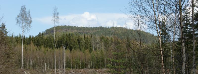 Foto: Svenska Vanadin