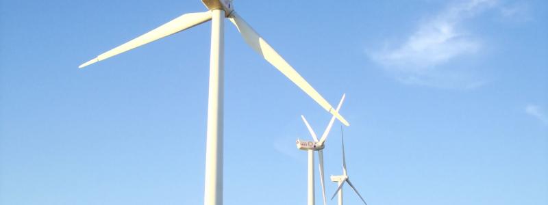 Foto: Warren Rohner/Wikimedia Commons