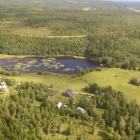 Det är i princip bara Sverige och Finland som har storskaligt skogsbruk i Europa.