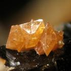 Foto: Christian Rewitzer/Wikimedia Commons