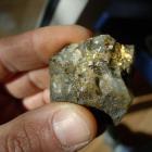 Guld på kvarts från Småland. Foto: Erik Jonsson/SGU