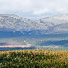 Prospektering efter guld i finska Lappland ökar. Fyndigheten Ikkari upptäcktes 2020 och utreds nu inför en möjlig gruvetablering. Symbolbild fån området: Pixabay, kredit: LtapsaH