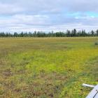 Viiankiaava är ett cirka 6 500 hektar stort myrområde nära Sodankylä, skyddat inom EU:s Natura 2000-nätverk. Området hyser flera hotade fågelarter, bland annat havsörn. AA Sakatti Mining planerar en underjordisk gruva i området med fokus på nickel, koppar och platina. Foto: Wikipedia Common Lic. Kredit: TuomoS