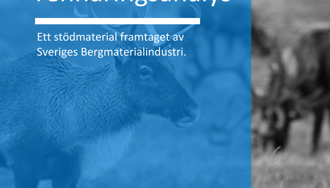 Bild: SBMI