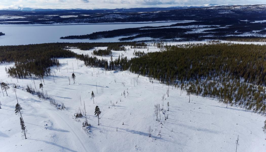 Paul Wennerholm/TT: Området där gruvan i Kallak, på samiska Gallok, kan komma att ligga. Arkivbild.