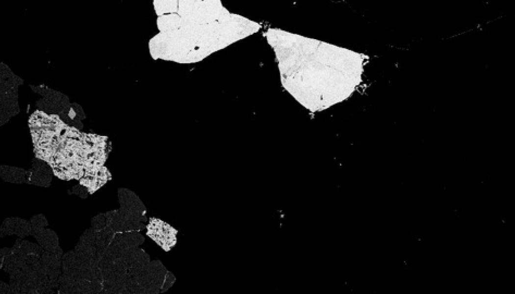 Åsgruvanit-(Ce) – ett nyupptäckt mineral som är rikt på sällsynta jordartsmetaller, här som ett vitflammigt fjärilsliknande kristallaggregat i en bild tagen med svepelektronmikroskop. Fyndplatsen är Åsgruvan vid Norberg i Bergslagen. Foto: Erik Jonsson, SGU.