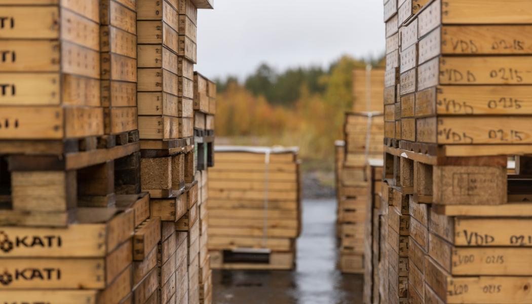 Borrkärnor i förvaring. Foto: Viscaria 
