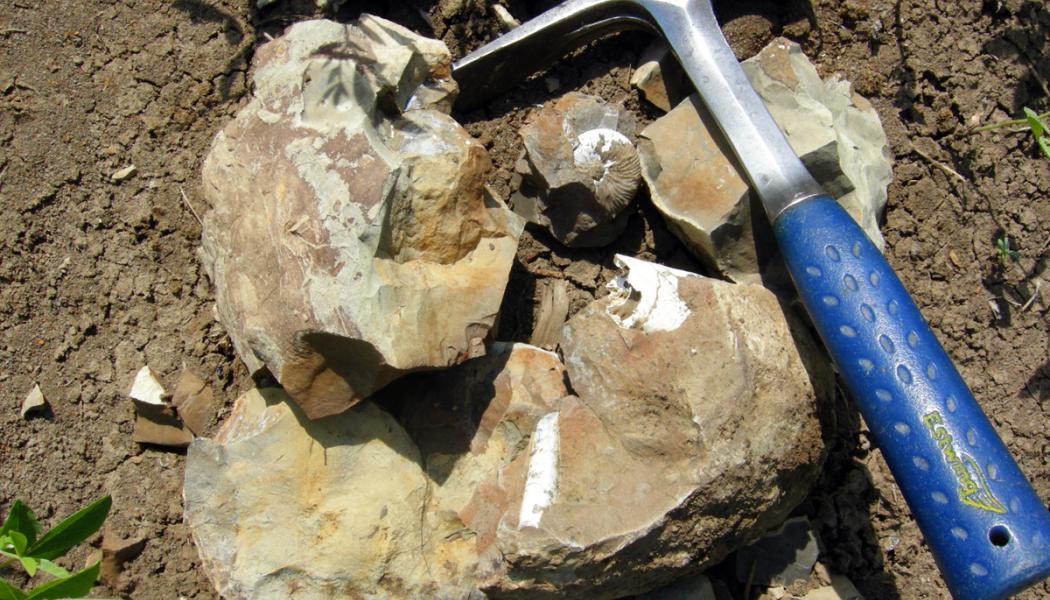 Geologen verktyg. Bland annat. Foto: Wikipeedia Common Lic. Kredit: Wilson44691