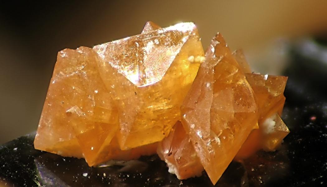 Foto: Christian Rewitzer/Wikimedia Commons
