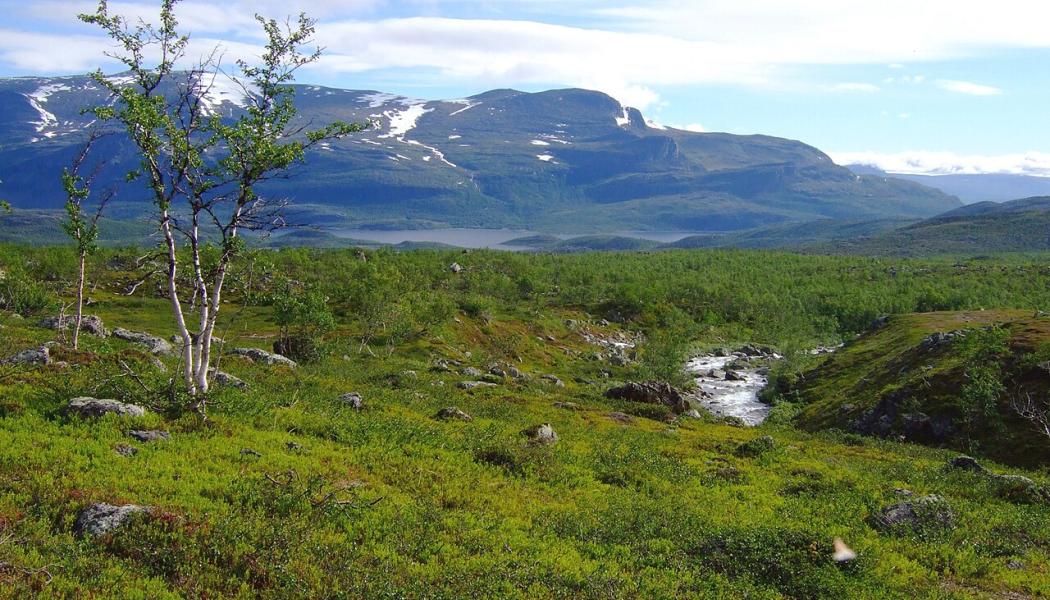 Laponia. Foto: Grapetonix/Wikimedia Commons