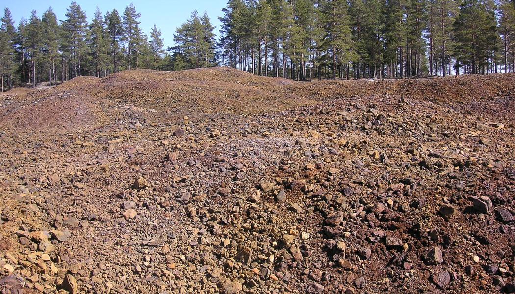 Varphög. Foto: Holger Ellgaard/Wikimedia Commons