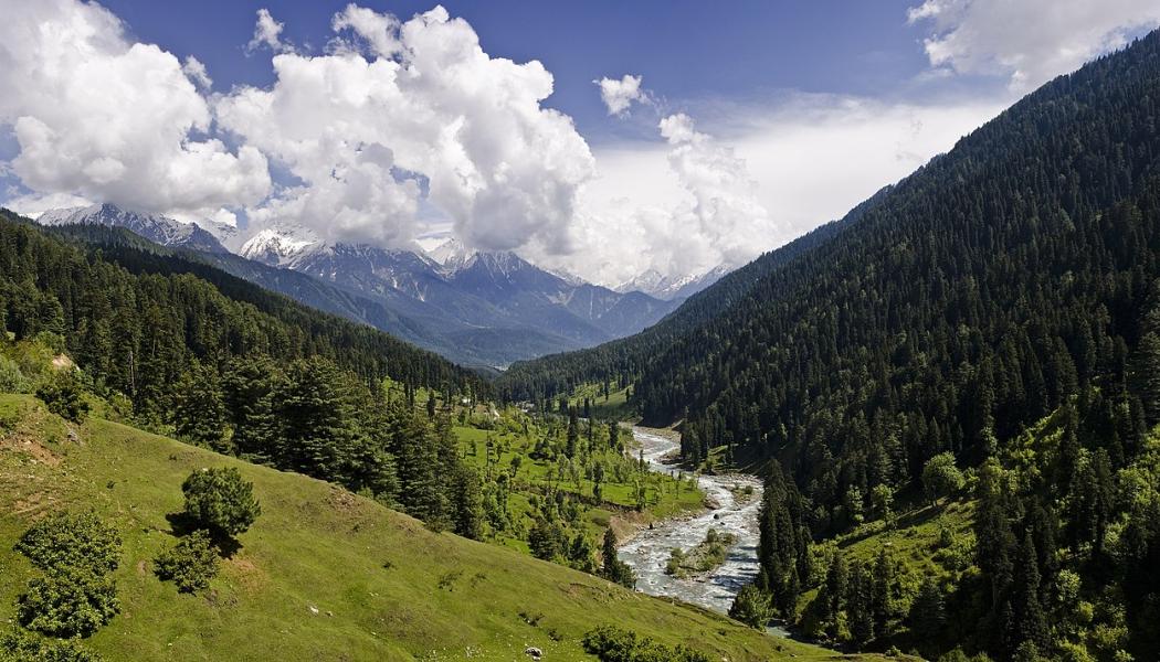 Kashmir. Foto: KennyOMG/Wikimedia Commons