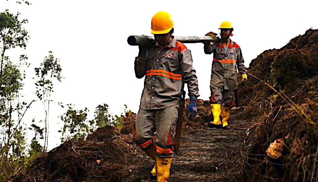 Prospektering vid Mocoa-fyndigheten i Putumayo, södra Colombia. Fyndet kan bli ett av de största kopparprojekten i landet. Foto: Libero Copper & Gold Corporation.