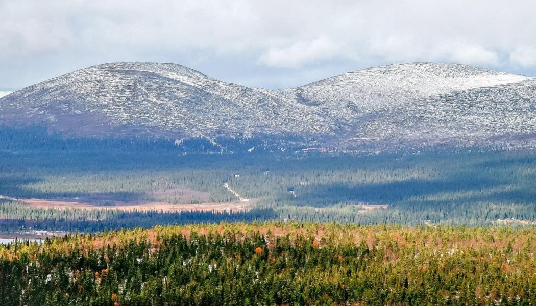 Prospektering efter guld i finska Lappland ökar. Fyndigheten Ikkari upptäcktes 2020 och utreds nu inför en möjlig gruvetablering. Symbolbild fån området: Pixabay, kredit: LtapsaH