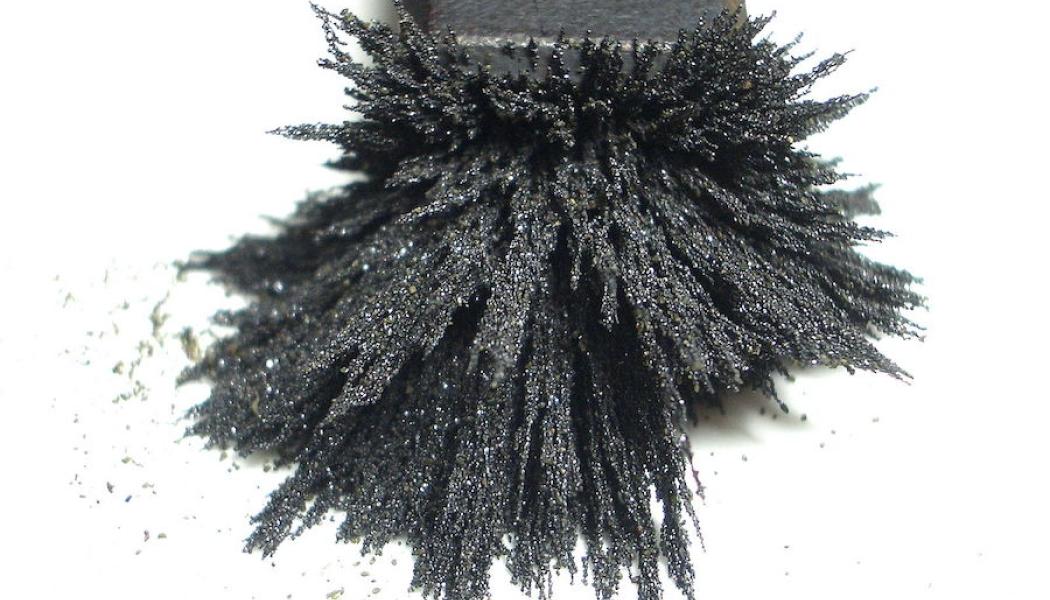 Foto: Aney/Wikimedia Commons