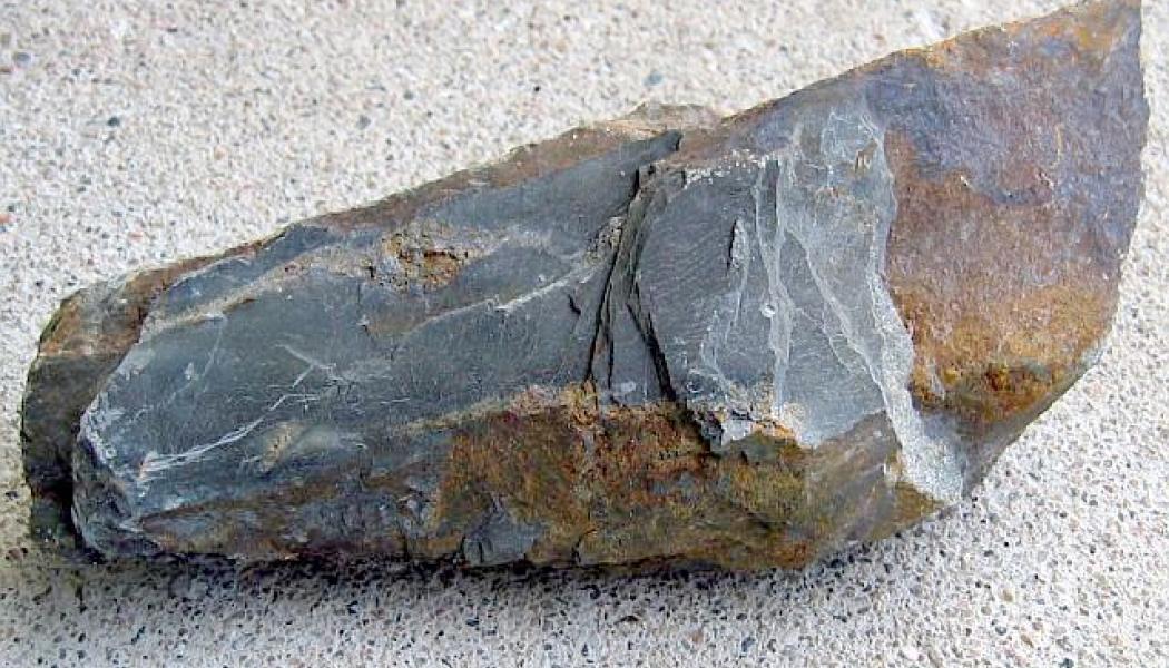 Svartskiffer. Foto: Geologia.fi
