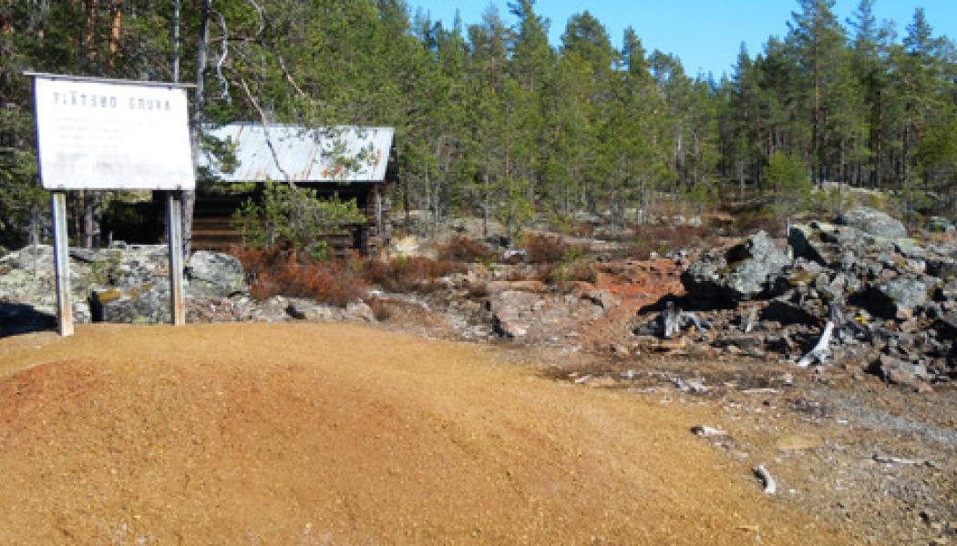 Flätsbo gruva är en sulfidmineralisering med koppar, zink och lite bly som disseminering. Den ligger strax utanför det undersökta området. Foto: SGU